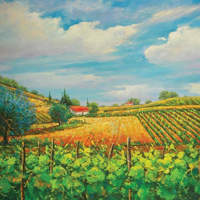 Summer In Napa