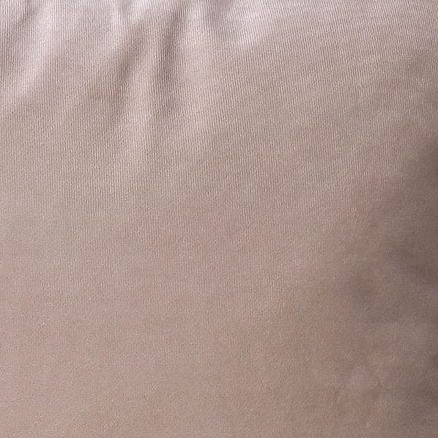 Fawn